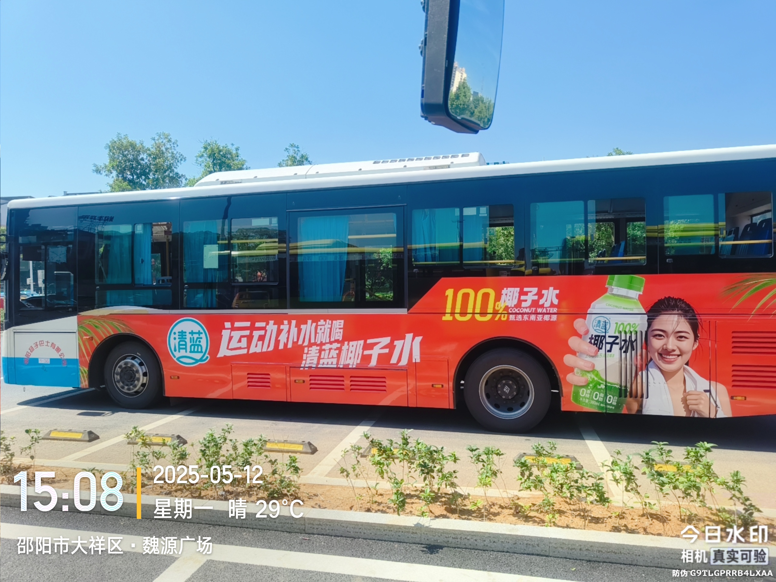 清蓝椰子水适合便利店动销吗？