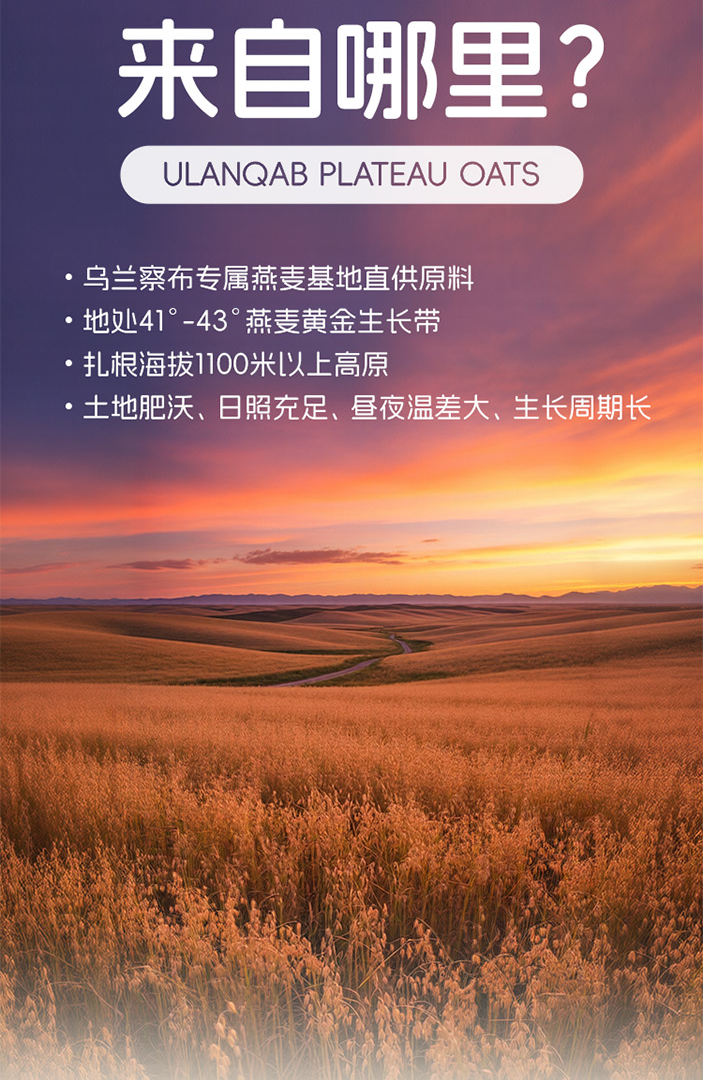 给孩子日常喝的植物奶需要看哪些指标？
