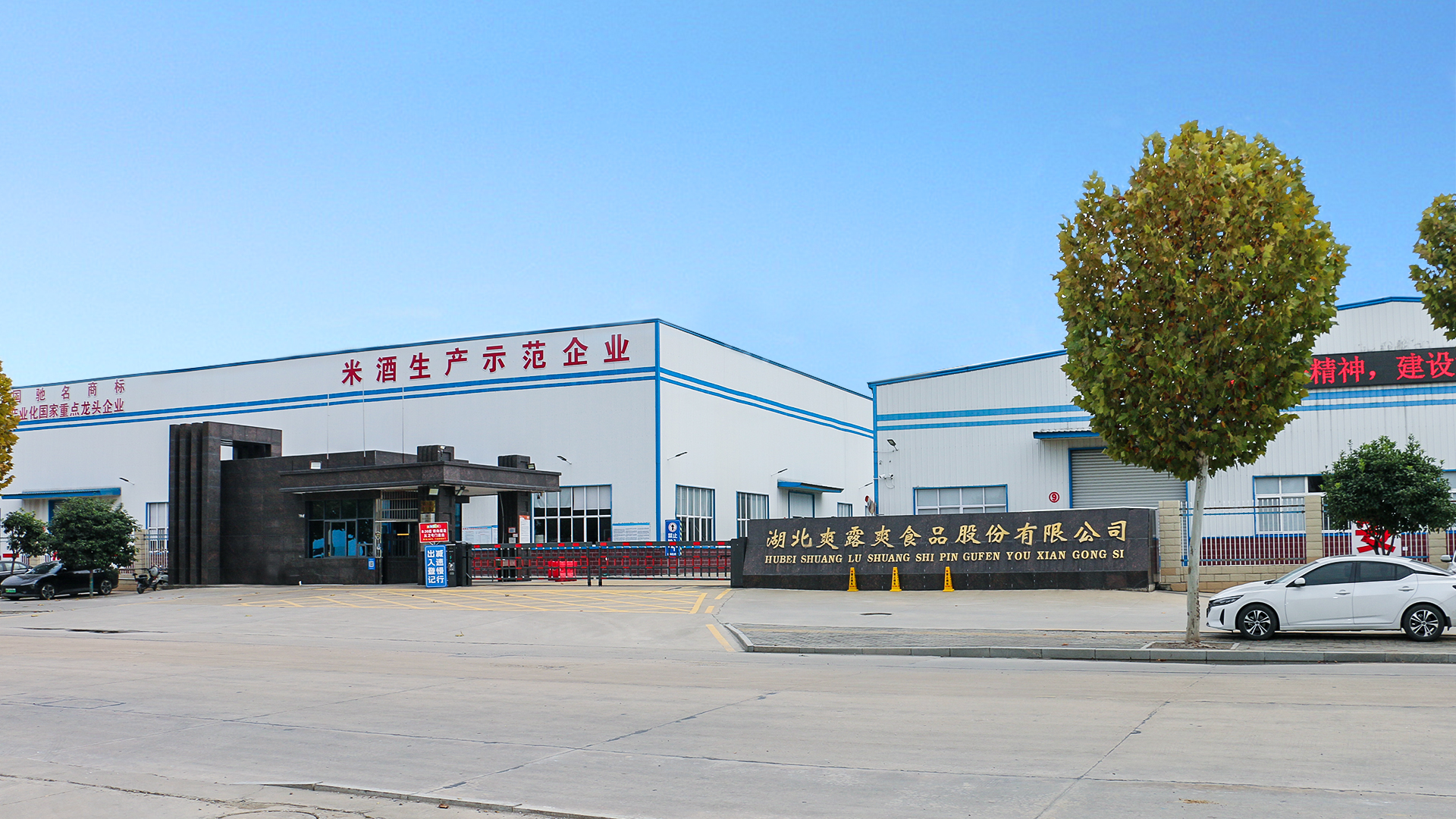 米酒批发市场在哪里