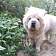 未知的精彩