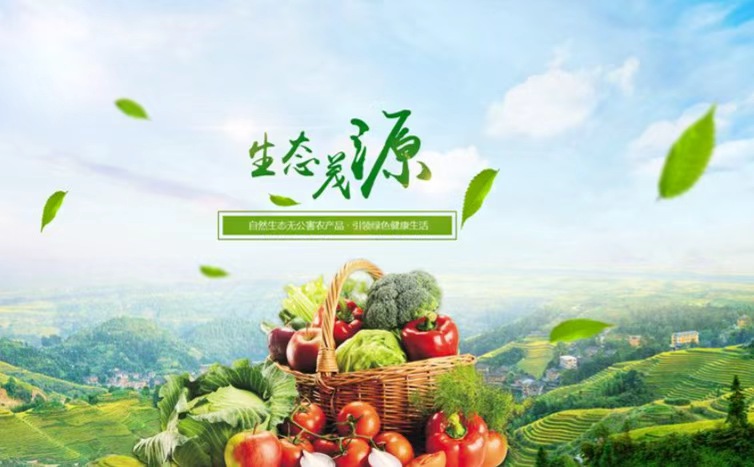 采摘聚人气 田园变乐园——孝义市休闲农业发展激发乡村振兴新活力