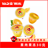 果冻布丁-30克果肉果冻