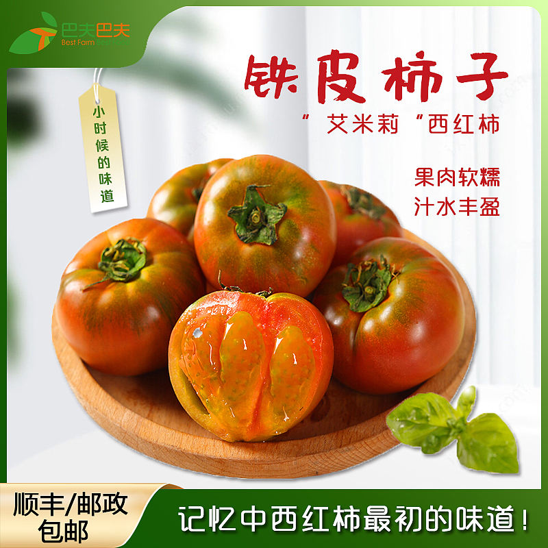 艾米莉铁皮柿子