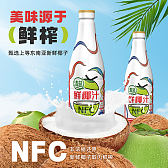 清蓝鲜椰汁 1.25L*6 瓶 椰子汁