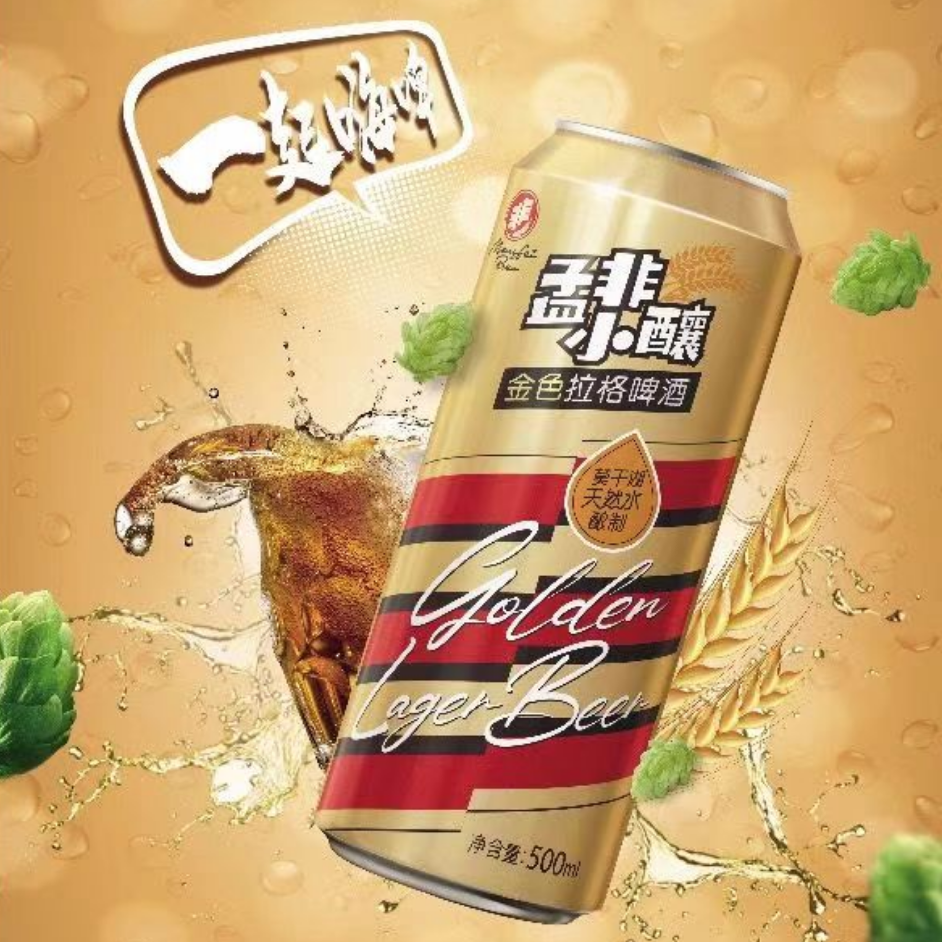 孟非小酿金色拉格啤酒