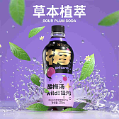 德元益生菌发酵酸梅汽水
