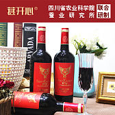 葚开心-花青素桑葚酒