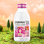 荔枝风味酸奶  310g