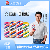 大窑果汁汽水500ml易拉罐