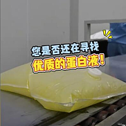 蛋白液