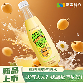 歙采缤纷贡菊气泡水500ml
