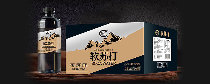 畅口桦树汁味苏打天然水饮品590ml