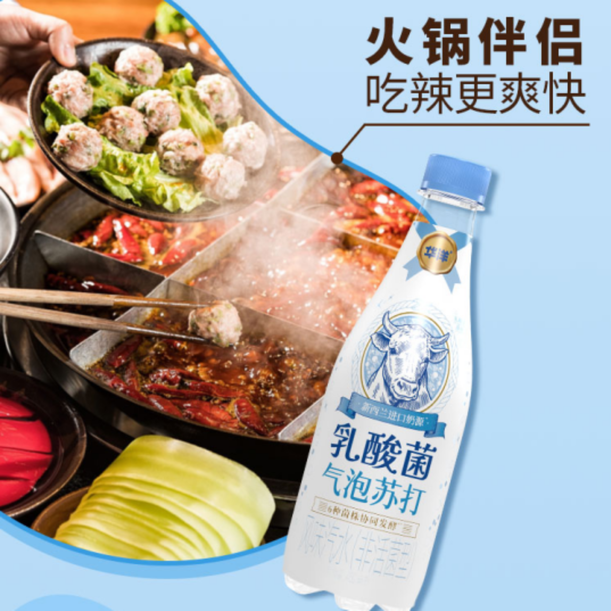 华洋乳酸菌气泡苏打