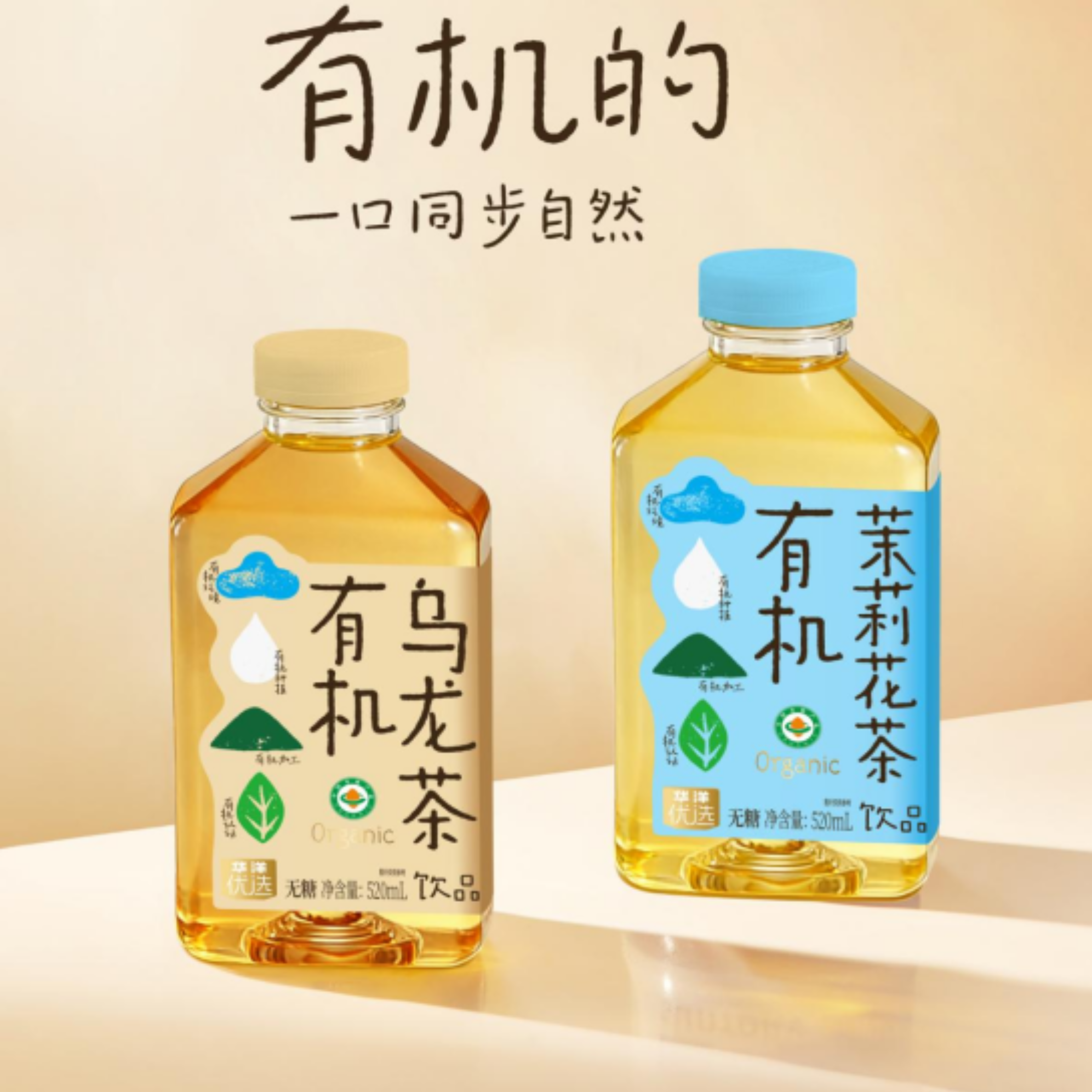 华洋有机茶