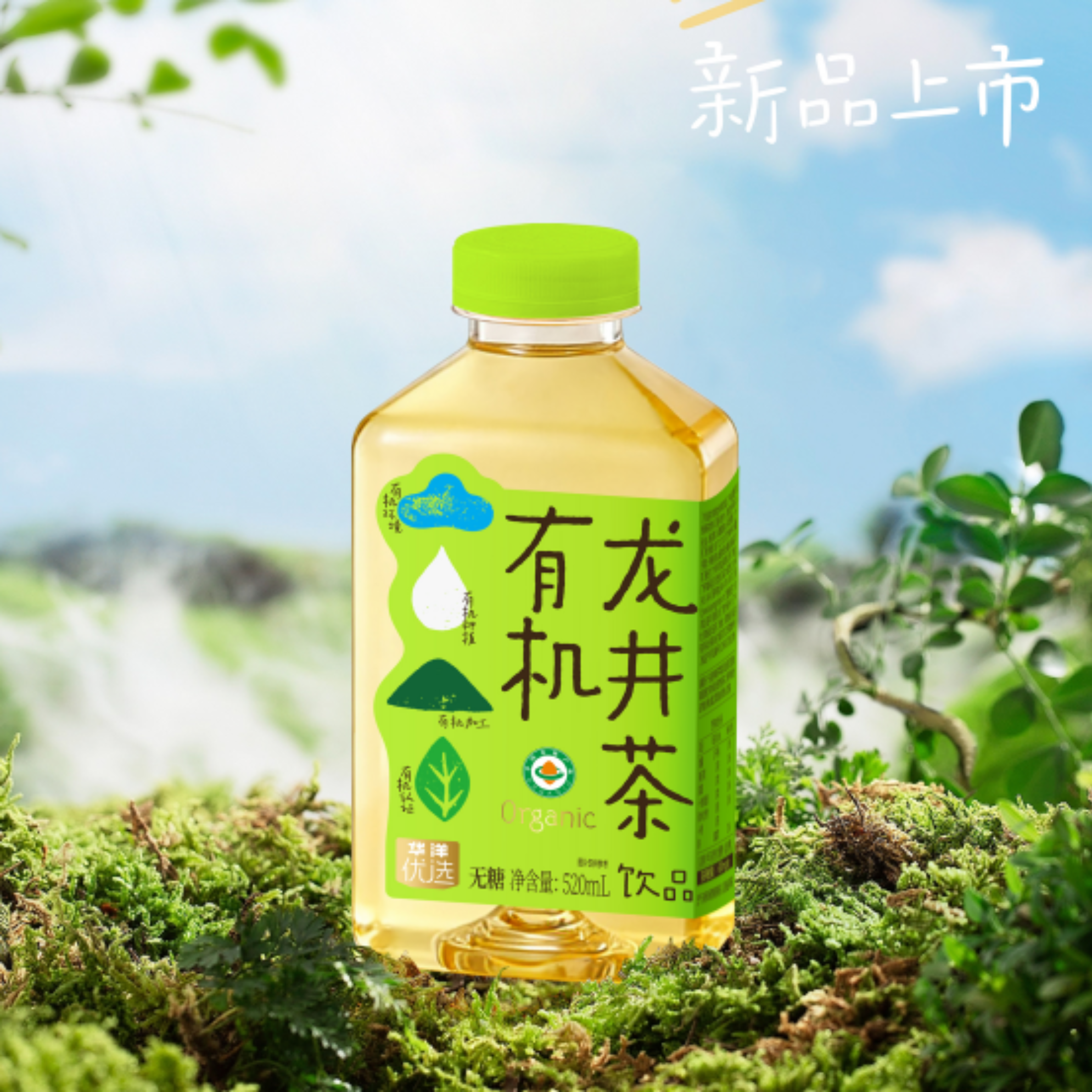 华洋有机茶