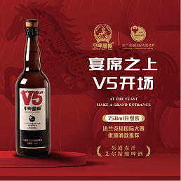 中啤精酿大V5