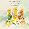 冠生园 蜂蜜水系列