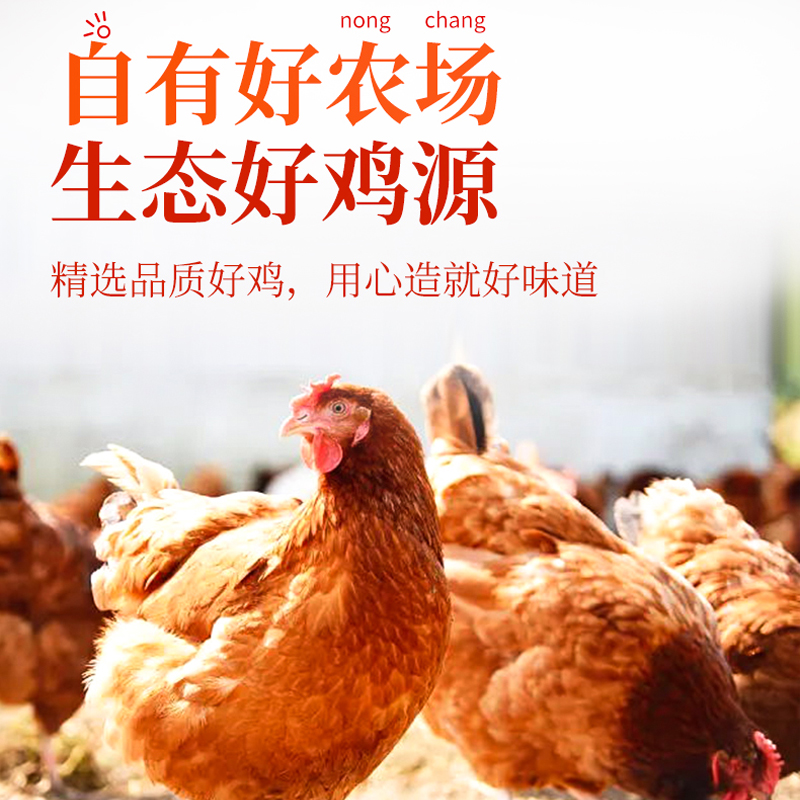 老母鸡