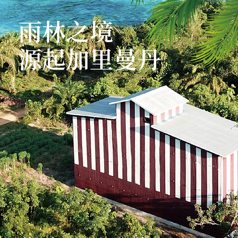 印尼溯源燕盏礼盒