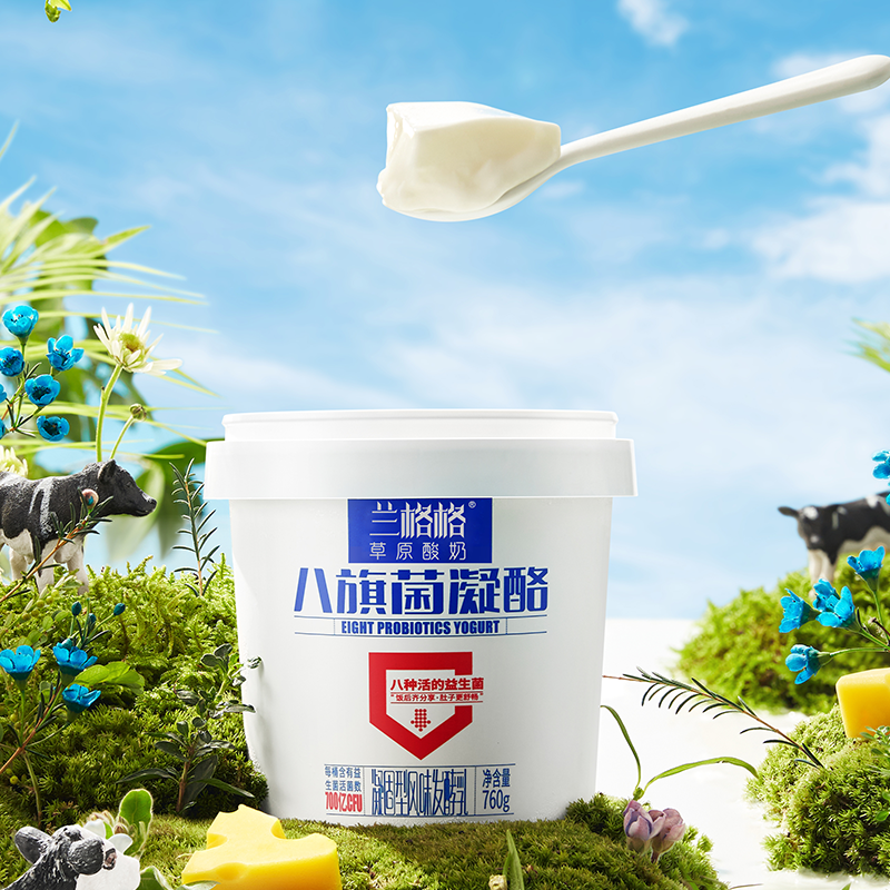 兰格格八旗菌凝酪酸奶760g