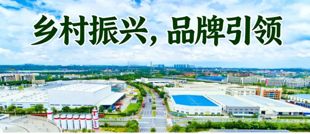 乡村振兴，品牌引领！县域如何打造农食产业“破局密钥”？配图