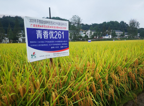 微信图片_2026-08-07_190953_067.png