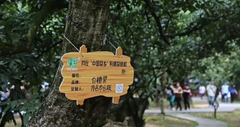 微信图片_2026-08-07_185925_907.jpg