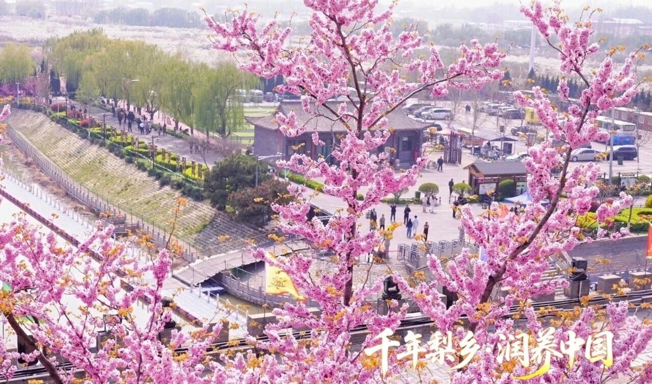 微信图片_2026-08-08_102609_031.jpg