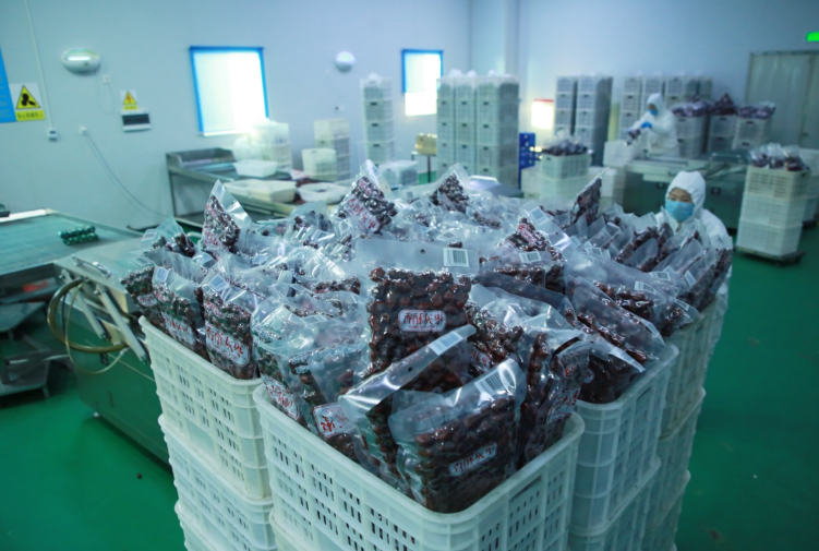 微信图片_2026-08-15_151702_449.png