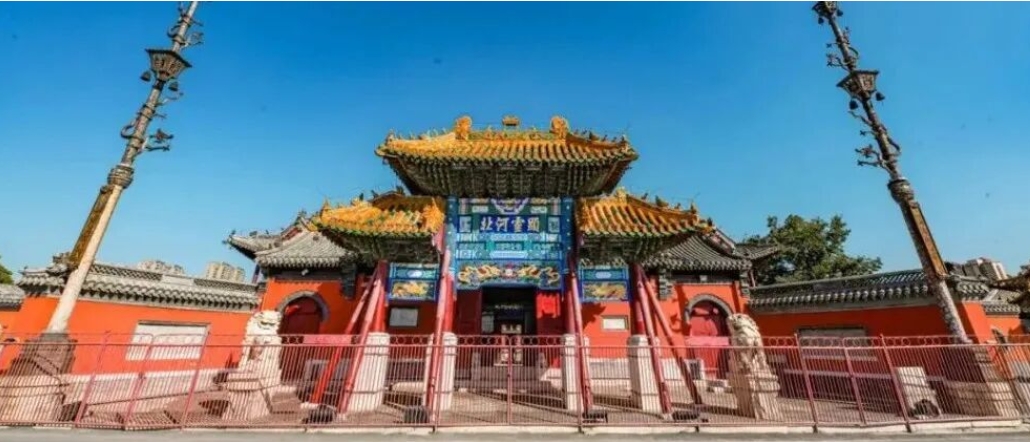 手握金“药”匙，看安国如何解锁800亿+的草本财富？配图