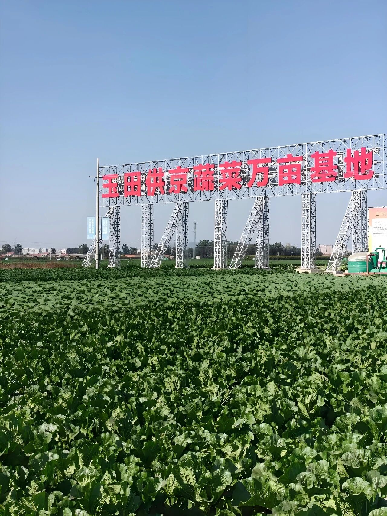微信图片_2026-08-07_193455_357.jpg