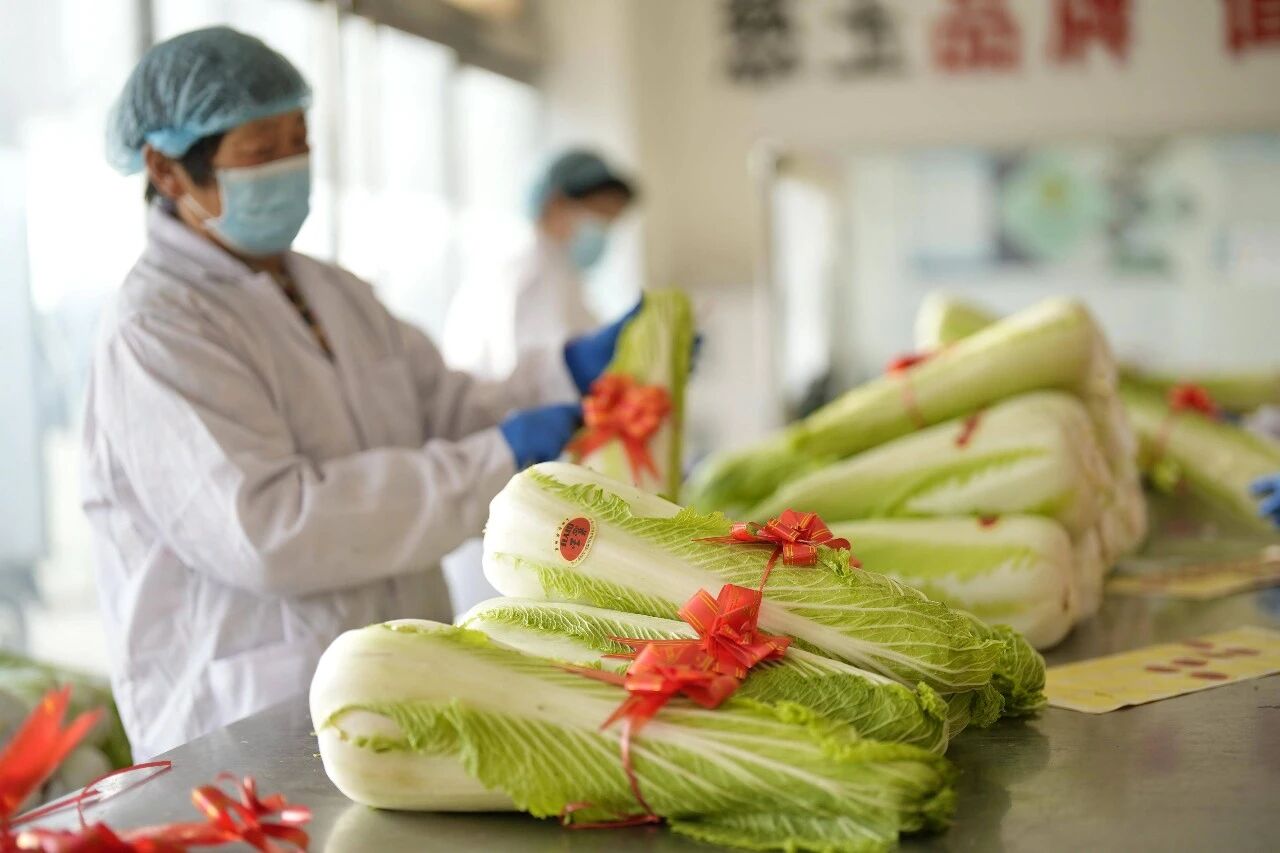 微信图片_2026-08-07_194212_012.jpg