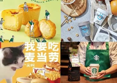 全球食品本土化浪潮来袭，咖啡、烘焙、乳品如何做“中国味道”？