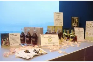 白葡萄酒收入首次超红葡萄酒，王朝酒新增长曲线开始发力
