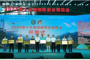 白沙溪获评2023年湖南茶叶“三茶统筹”标杆企业荣誉称号