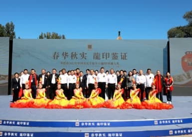 行至第五届，板城如何解锁秋藏大典IP密码？