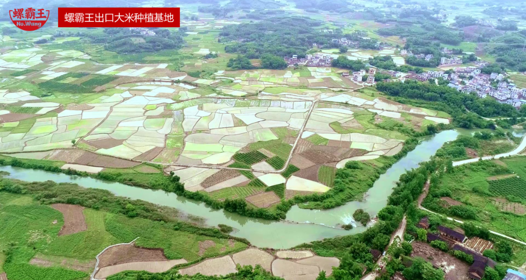国民品牌，霸气献礼丨螺霸王不仅创下吉尼斯世界纪录，还要请全国人民嗦粉拿奖