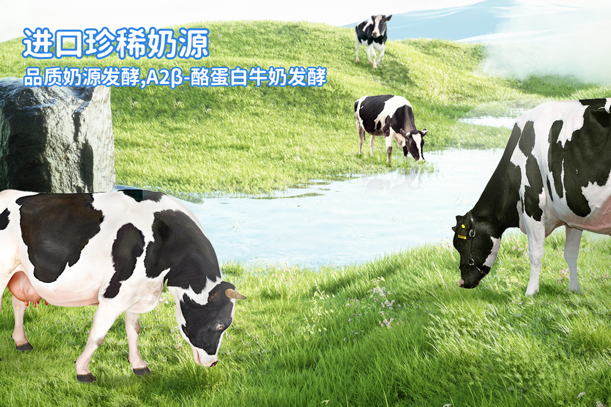 每日一品 | 温和有营养，喵小侠推出A2钙铁锌酸奶饮品
