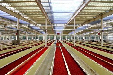喜讯！鹃城牌斩获“2024大消费年度影响力产品”殊荣