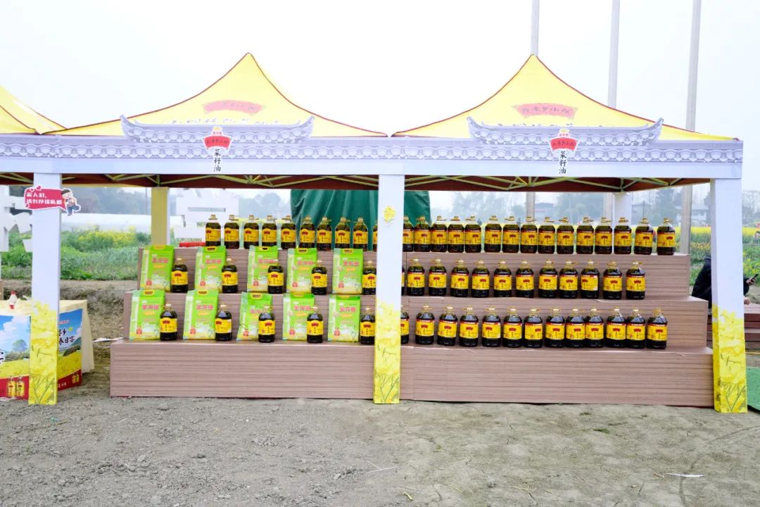 金龙鱼打造油菜花旅游文化节,携手消费者共绘美食盛宴