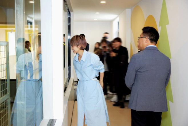 全方位溯源，黄天鹅携手马伊琍诠释高品质鸡蛋新标准