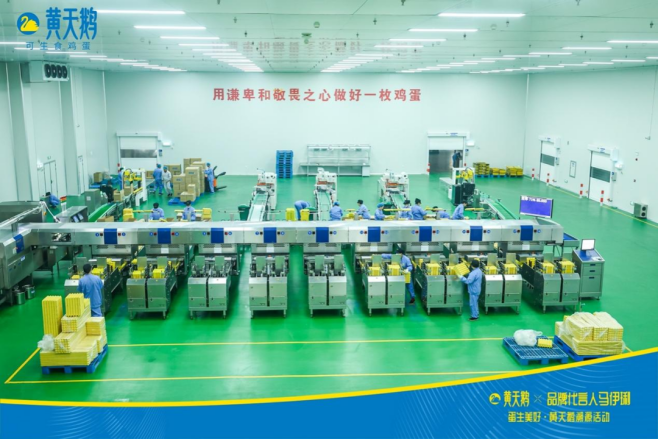 全方位溯源，黄天鹅携手马伊琍诠释高品质鸡蛋新标准