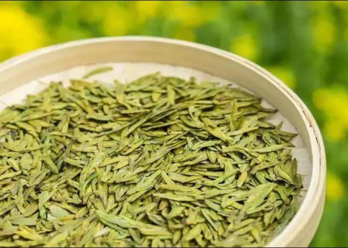 ​郝北海：1000多个产茶县，茶叶如何打造品牌？