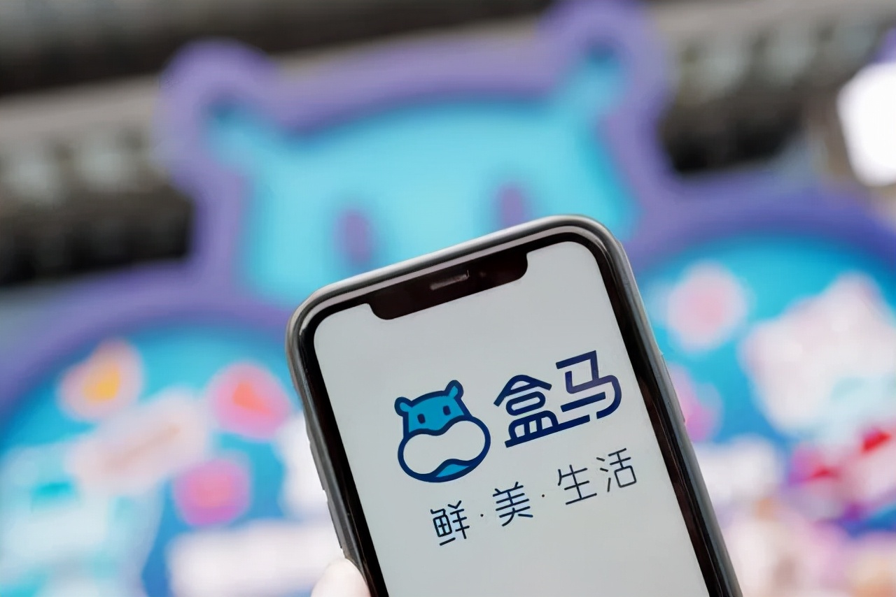 盒马2024财年GMV超590亿元