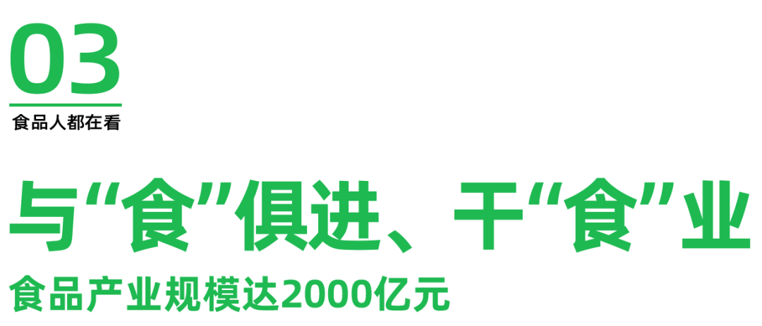 漯河：中国食品名城如何从“国人厨房”转向“世人餐桌”