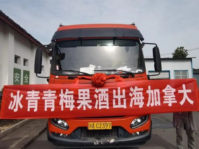 “25亿梅见”之后，青梅酒的增长动力在何方？