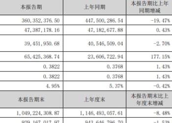 熊猫乳品上半年营收约3.6亿元，同比下滑19.47%