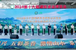 2024第十六届湖南茶业博览会开幕