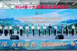 2024第十六届湖南茶业展览会开幕