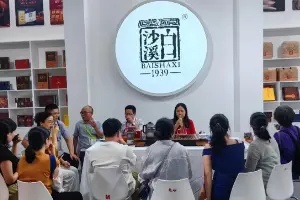 湘茶集团旗下各单位品牌亮相第十六届湖南茶博会提升影响力